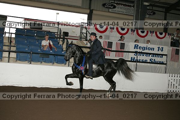 Proof Number r14-04_0217